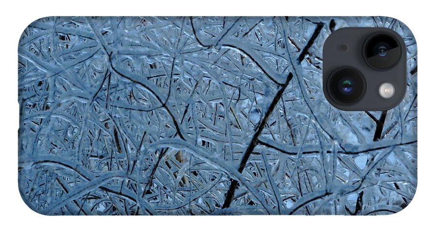 Ice iPhone 14 Case featuring the photograph Vegetation After Ice Storm by Daniel Reed