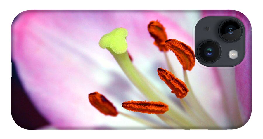 Flower iPhone 14 Case featuring the photograph 00302 Detail by Francisco Pulido