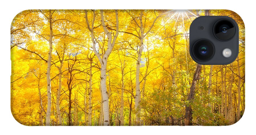Aspens iPhone 14 Case featuring the photograph Aspen Morning by Darren White