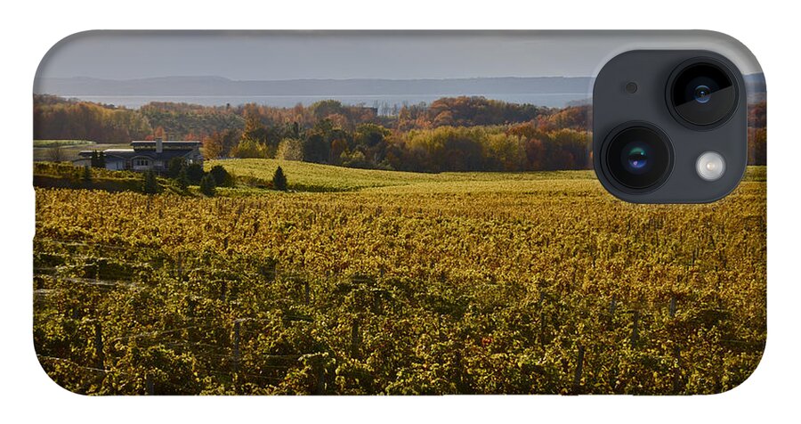 Vineyard iPhone 14 Case featuring the photograph Autumn On Old Mission Peninsula by Owen Weber