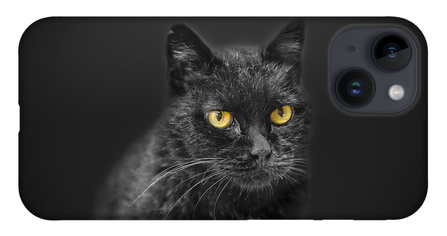 Animal iPhone Case featuring the photograph Black Cat by Peter Lakomy