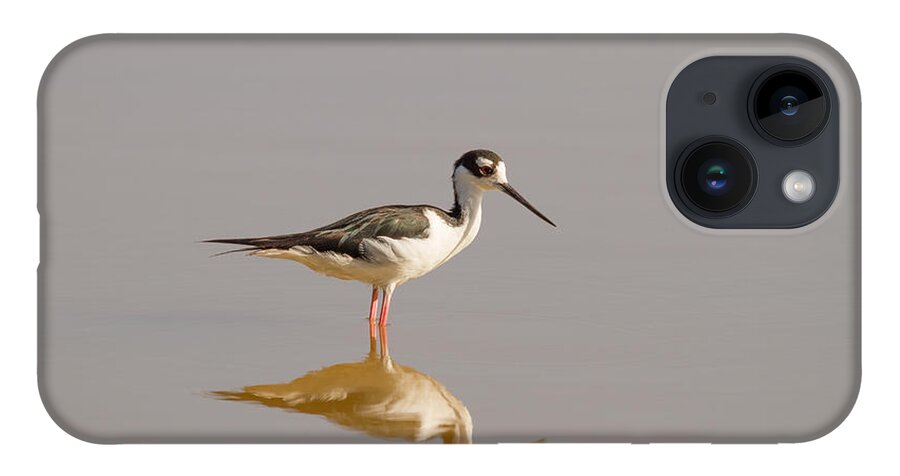 Bird iPhone 14 Case featuring the photograph Black-necked Stilt #1 by Doug McPherson