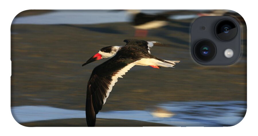 Birds iPhone 14 Case featuring the photograph Black Skimmer Beach #2 by John F Tsumas