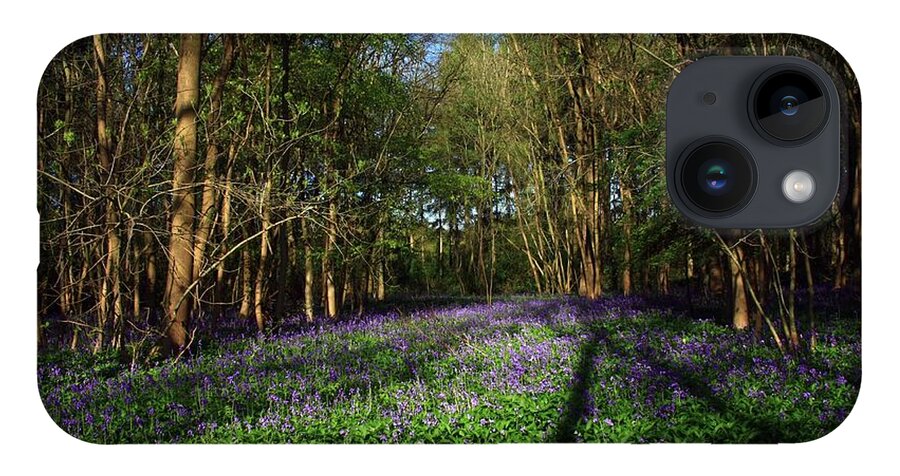 Bluebells iPhone 14 Case featuring the photograph Bluebells #1 by Jeremy Hayden