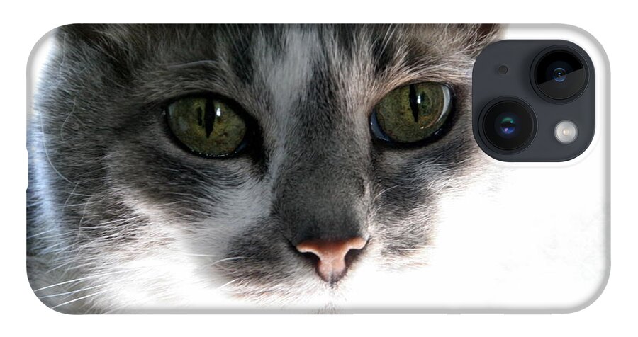 Feline iPhone 14 Case featuring the photograph Gray Cat with Green Eyes by Valerie Collins