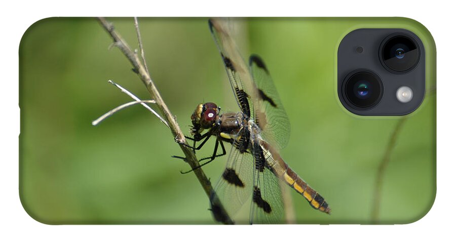 Dragon Fly iPhone 14 Case featuring the photograph Dragon by David Armstrong