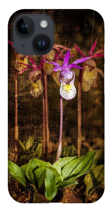 Wildflowers iPhone Case featuring the photograph Fairy Slippers by Fred Denner