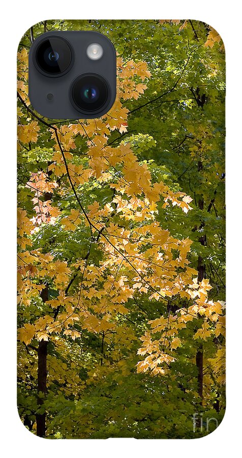Autumn iPhone 14 Case featuring the photograph Fall Maples by Steven Ralser