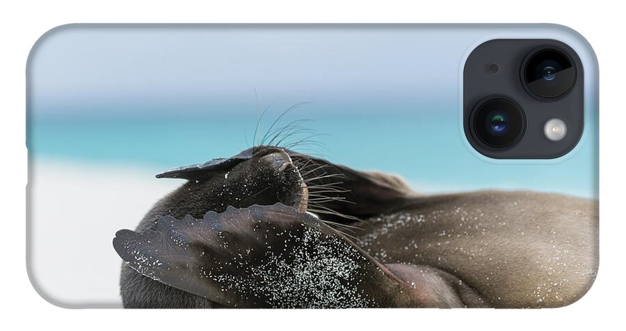 Tui De Roy iPhone 14 Case featuring the photograph Galapagos Sea Lion Pup Covering Face #1 by Tui De Roy