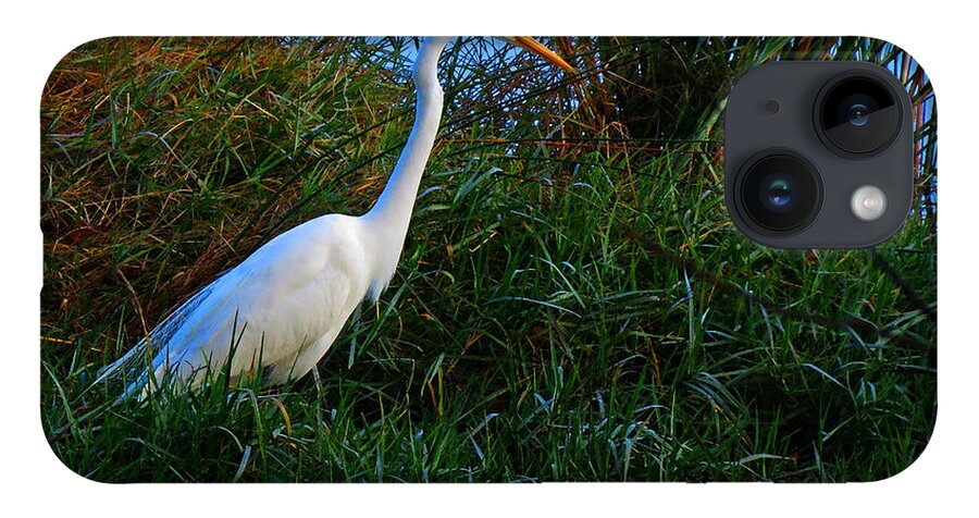 Nature iPhone 14 Case featuring the photograph Great Egret #1 by Deborah Smith