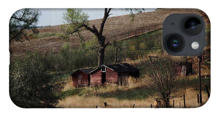 Barns iPhone Case featuring the photograph Horse Barn by Yumi Johnson