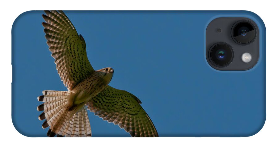 Hovering Kestrel iPhone 14 Case featuring the photograph Hovering by Torbjorn Swenelius