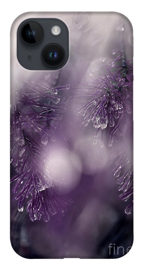 Pine Needles iPhone 14 Case featuring the photograph I Still Search For You by Michael Eingle