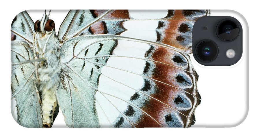 Animal iPhone 14 Case featuring the photograph Moduza Nuydai #1 by Natural History Museum, London
