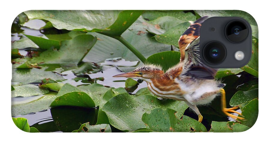 Least Bittern iPhone 14 Case featuring the photograph On the Run by Leda Robertson