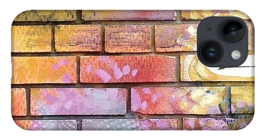 Wallart iPhone Case featuring the photograph Painted Brick by Julie Gebhardt