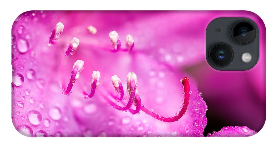 Spring iPhone 14 Case featuring the photograph Pink Dreams by Mary Jo Allen