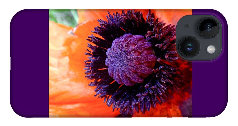 Poppy iPhone 14 Case featuring the photograph Poppy by Rona Black