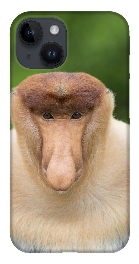 Suzi Eszterhas iPhone 14 Case featuring the photograph Proboscis Monkey Dominant Male Sabah by Suzi Eszterhas