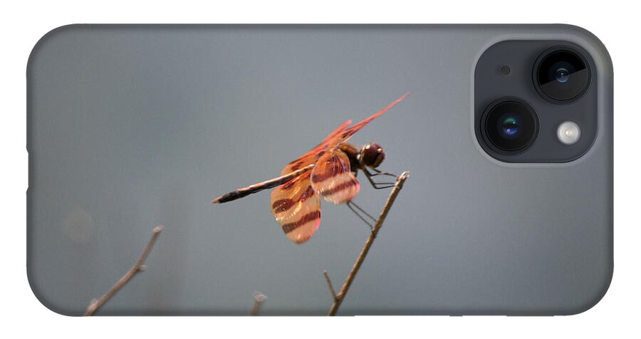 Red Dragonfly; Dragonfly; Nature; Insects; Sjenphotography; S Jen Photography; Sue Jensen iPhone 14 Case featuring the photograph Red Dragonfly #1 by Susan Jensen
