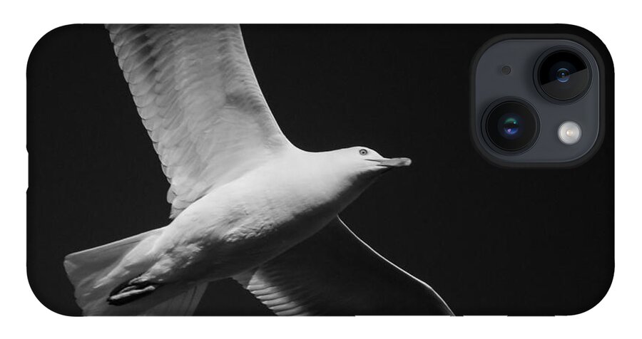 Seagull iPhone 14 Case featuring the photograph Seagull Underglow - Black and White by Kirkodd Photography Of New England