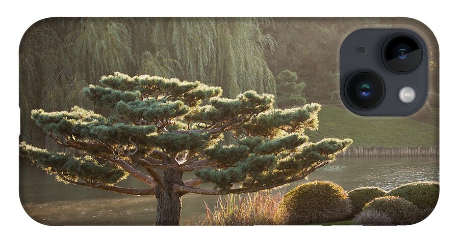 Bonsai iPhone 14 Case featuring the photograph Tranquility by Patty Colabuono