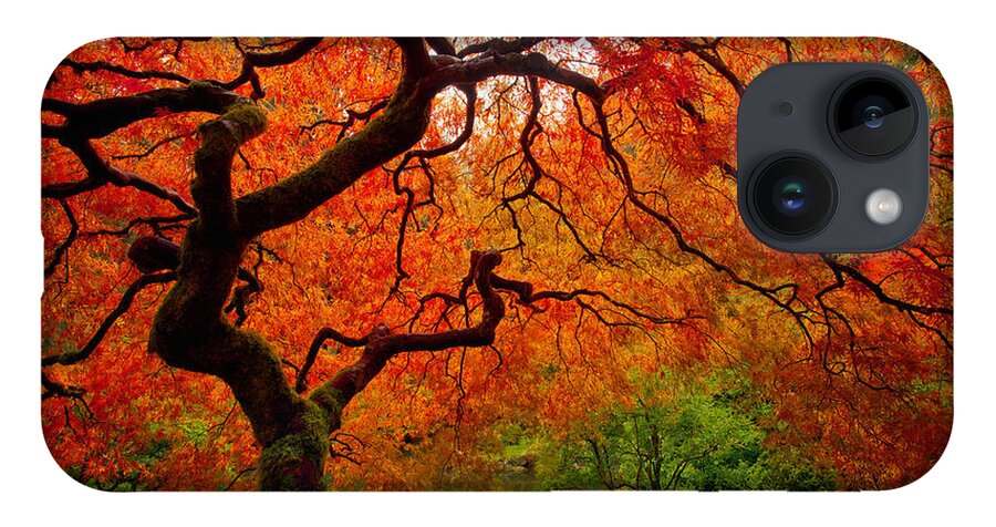Autumn iPhone 14 Case featuring the photograph Tree Fire by Darren White