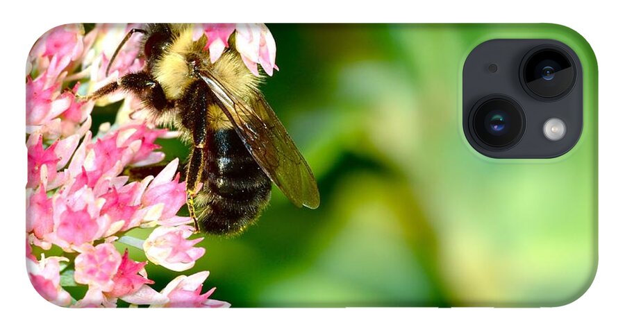 Bee Macro iPhone 14 Case featuring the photograph Working Hard #1 by Dan Hefle