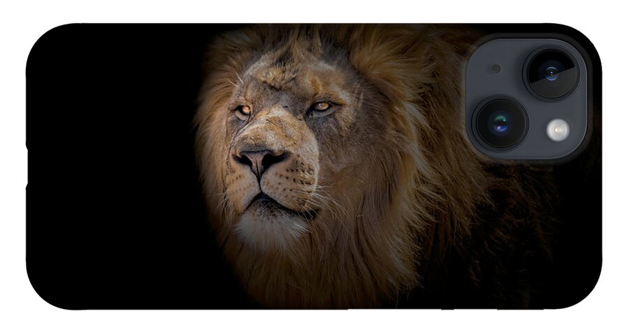 Africa iPhone Case featuring the photograph African Lion by Peter Lakomy