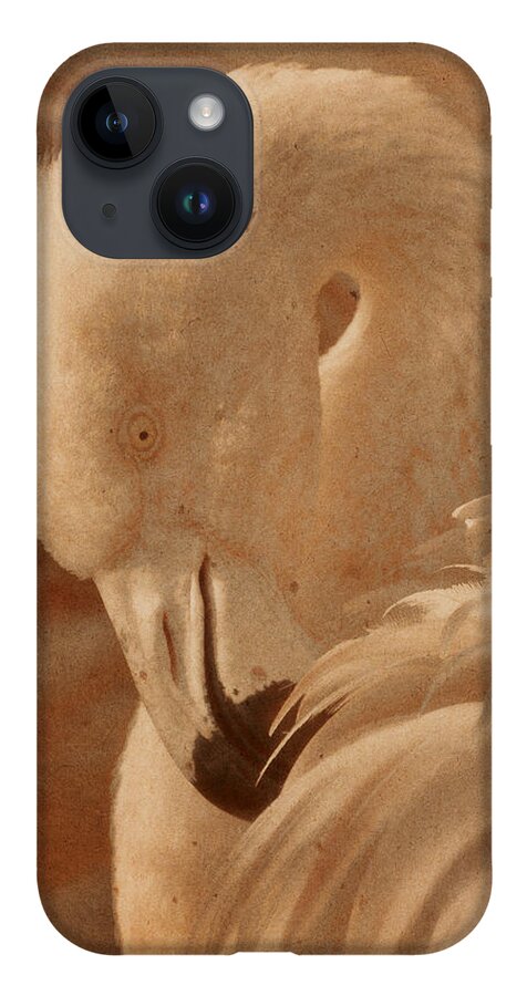 American Flamingo iPhone 14 Case featuring the photograph Basking in the Light #2 by Theo O'Connor
