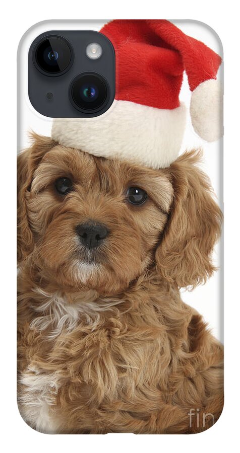 Ed Cavapoo Pup iPhone 14 Case featuring the photograph Cavapoo Puppy In Christmas Hat #2 by Mark Taylor