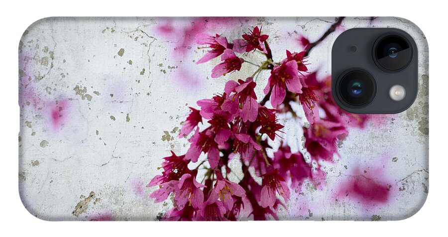 Deep Pink iPhone Case featuring the photograph Deep Pink Flowers with Grey Concrete Texture Background by Beverly Claire Kaiya