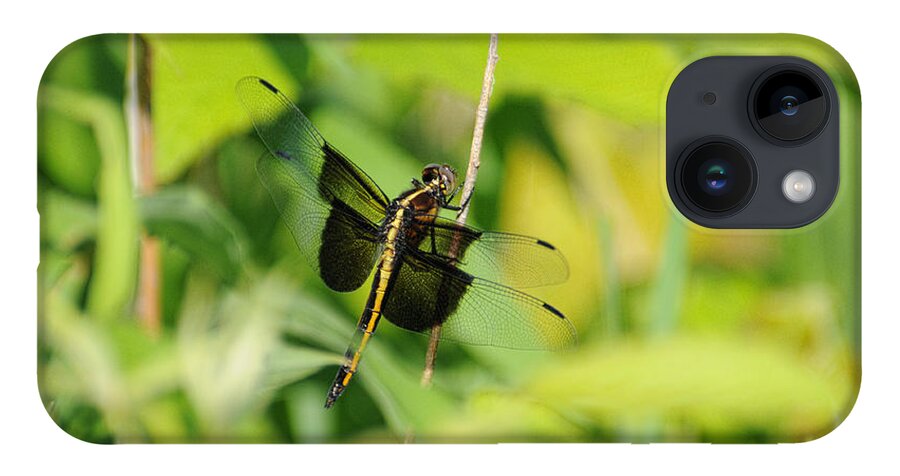 Dragonfly iPhone 14 Case featuring the photograph Dragon by David Armstrong