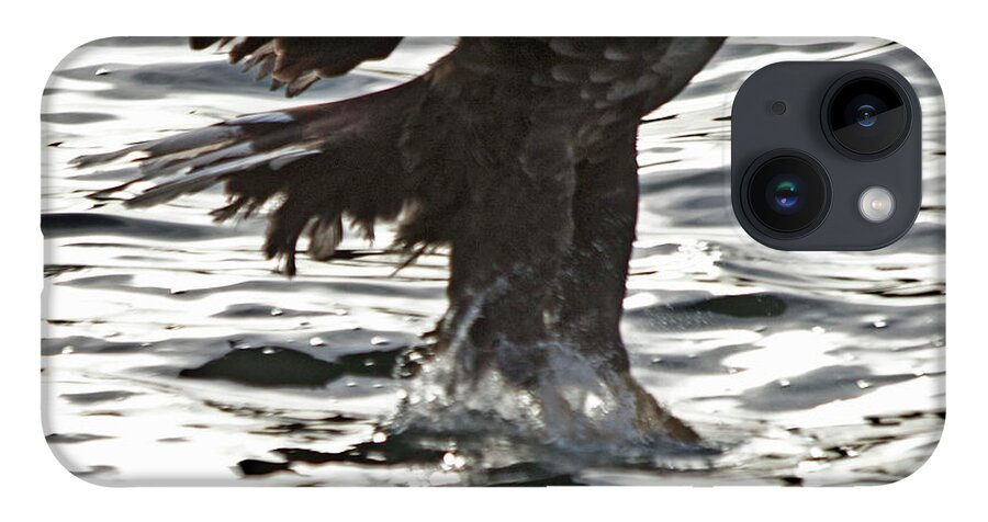 White_tailed Eagle iPhone 14 Case featuring the photograph European Fishing Sea Eagle 3 by Heiko Koehrer-Wagner