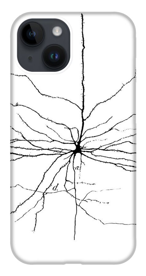 Pyramidal Cell iPhone Case featuring the photograph Pyramidal Cell In Cerebral Cortex, Cajal by Science Source
