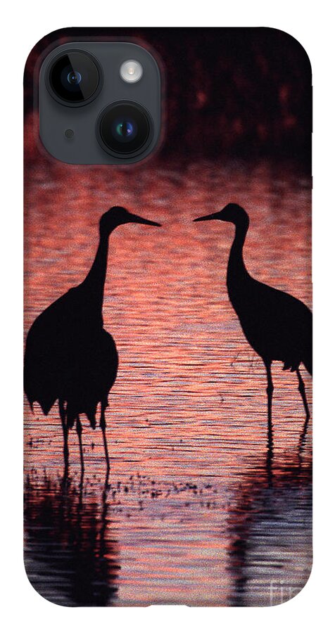 Birds iPhone 14 Case featuring the photograph Sandhill cranes by Steven Ralser