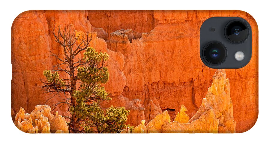 Bryce Canyon iPhone 14 Case featuring the photograph Sunset Point Bryce Canyon National Park #2 by Fred Stearns