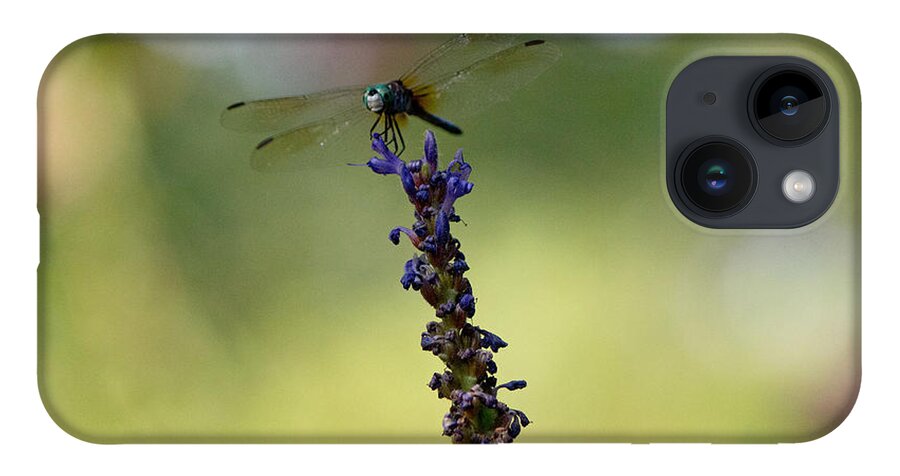 Blue Dragonfly iPhone 14 Case featuring the photograph Blue dragonfly #3 by Susan Jensen