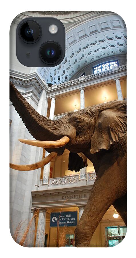 Bull Elephant iPhone Case featuring the photograph Bull Elephant in Natural History Rotunda by Kenny Glover