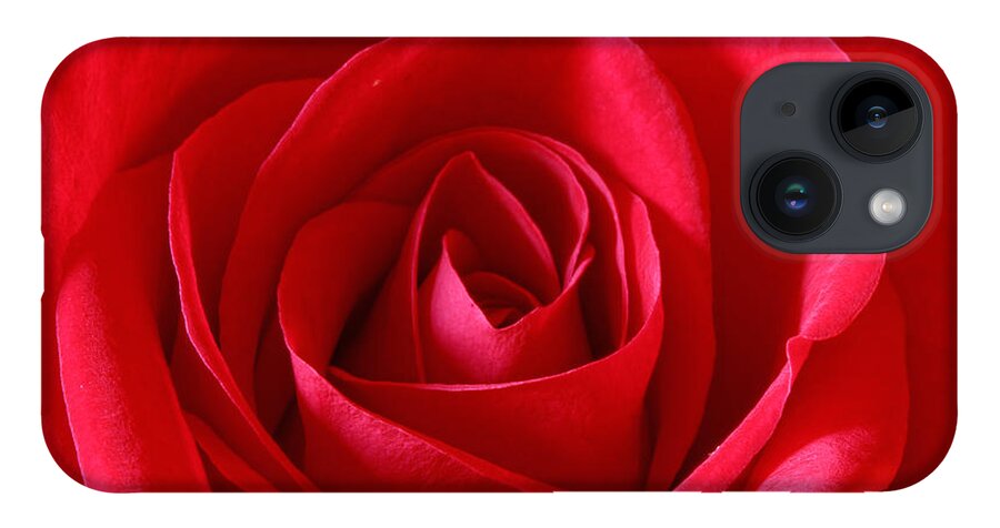 Background iPhone Case featuring the photograph Red Rose by Peter Lakomy