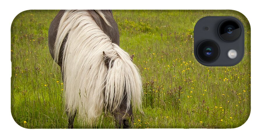 Appalachian Trail iPhone Case featuring the photograph Wild Horses by Joye Ardyn Durham