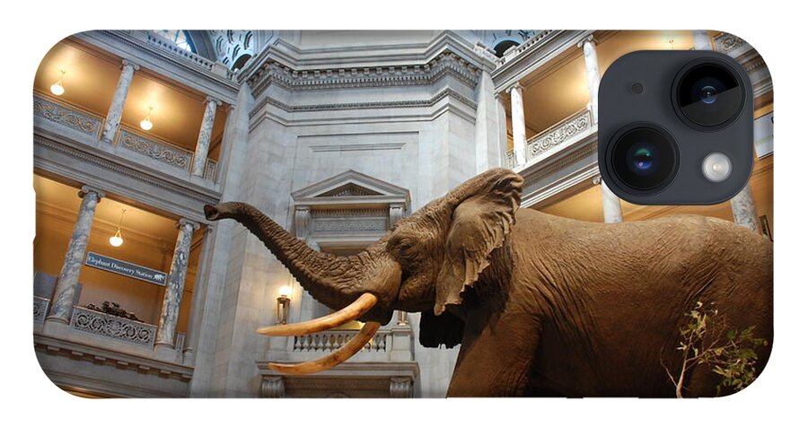 Bull Elephant iPhone 14 Case featuring the photograph Bull Elephant in Natural History Rotunda by Kenny Glover