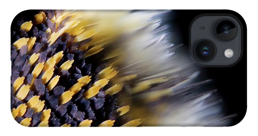 Light Micrograph iPhone Case featuring the photograph Butterfly Wing Scales by Petr Jan Juracka