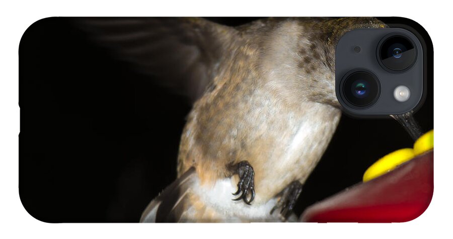 Ruby-throated Hummingbird iPhone 14 Case featuring the photograph Ruby Throated Hummingbird #4 by Robert L Jackson