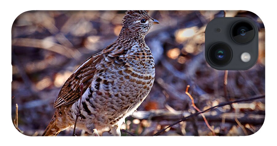 Bedford iPhone 14 Case featuring the photograph Ruffed Grouse by Ronald Lutz