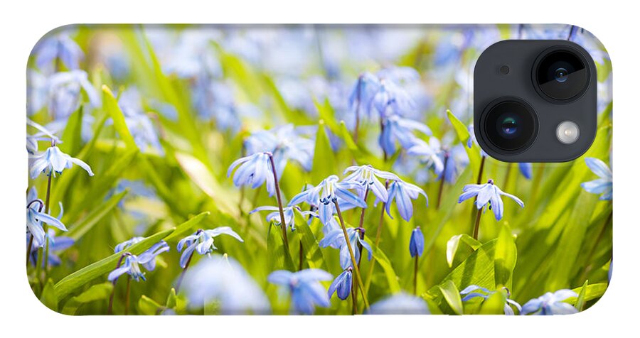 Flowers iPhone 14 Case featuring the photograph Spring blue flowers 2 by Elena Elisseeva