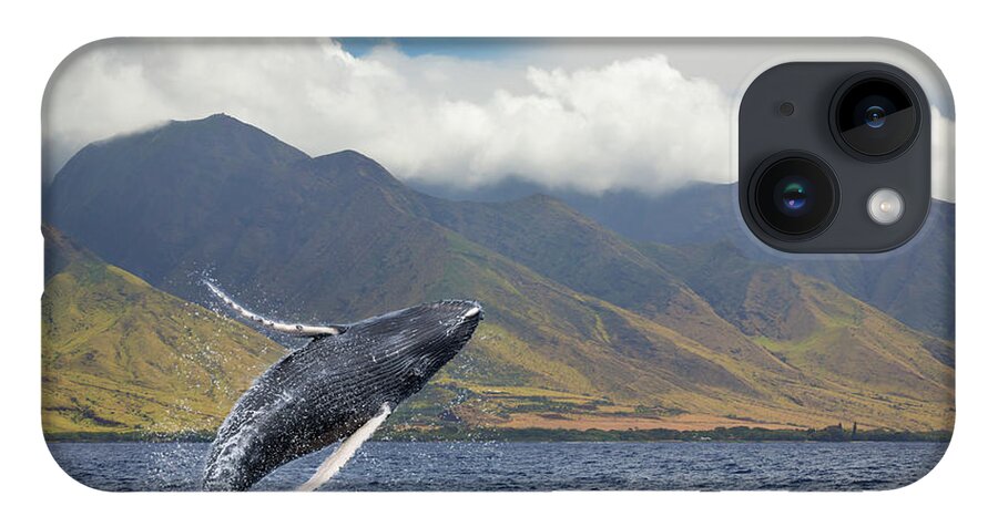 Animals In The Wild iPhone 14 Case featuring the photograph A Breaching Humpback Whale Megaptera by Dave Fleetham