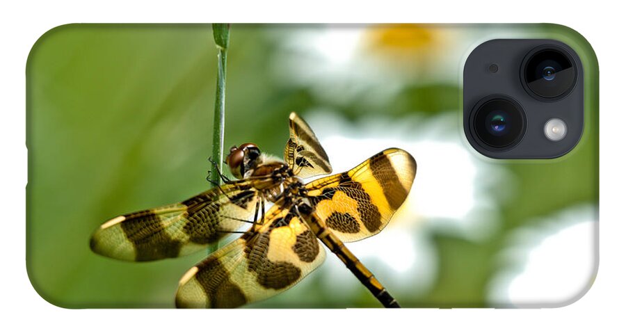 Halloween Pennant Dragonfly iPhone 14 Case featuring the photograph A Dragonfly's Life by Cheryl Baxter