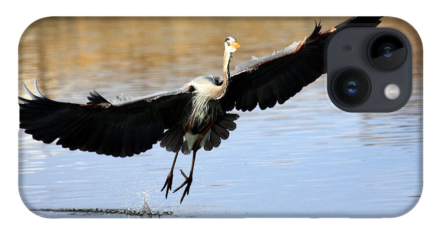 Great Blue Heron iPhone 14 Case featuring the photograph A Perfect Landing by Shane Bechler