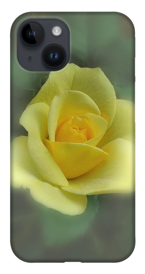 Rose iPhone 14 Case featuring the photograph A Rose is a Rose by David Armstrong
